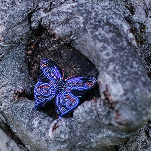 Pestrokřídlec modročerný... brož — foto 2