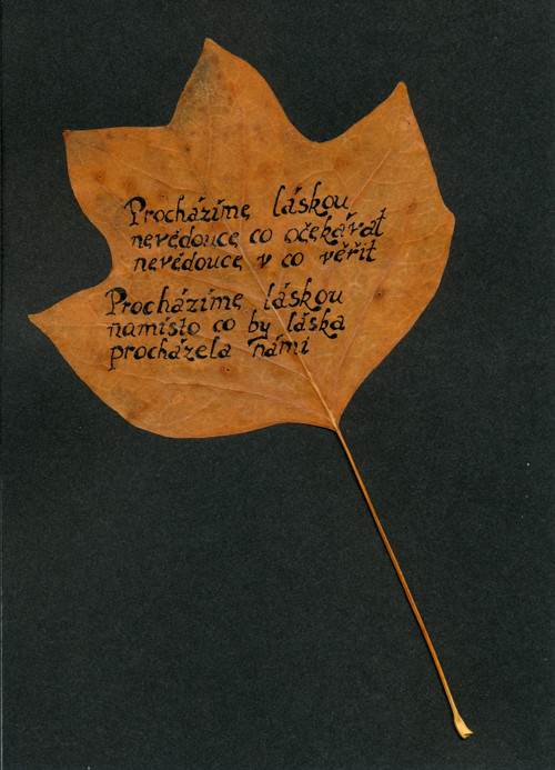 Procházíme láskou — foto 2
