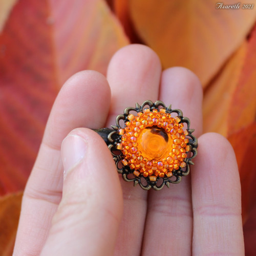 Oranžová pinetka — foto 2