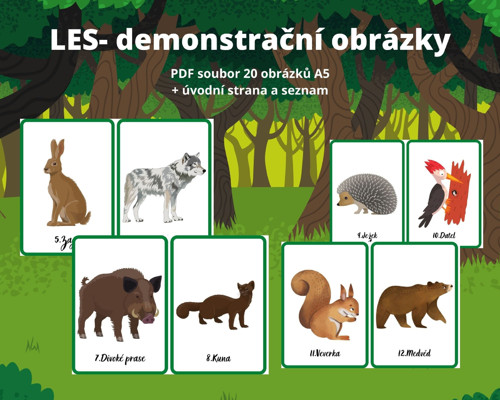 LES- demonstrační obrázky — foto 2