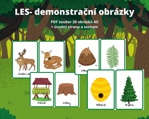 LES- demonstrační obrázky — foto 3