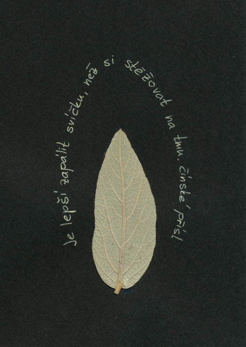 Zapal svíčku — foto 2