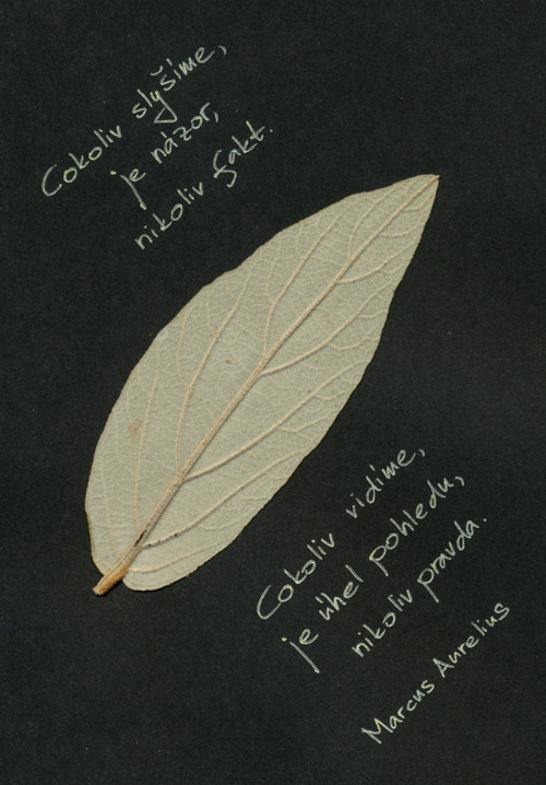 Úhel pohledu — foto 2