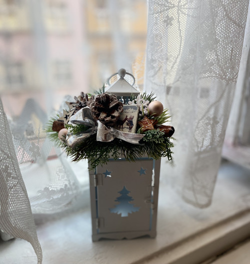 Lucernička stromeček — foto 3