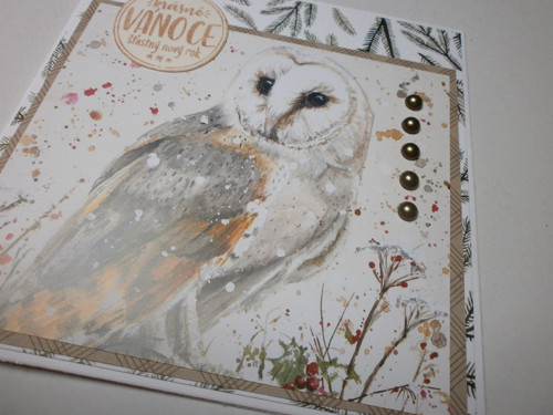 Zvířátkové vánoční přáníčko — foto 3