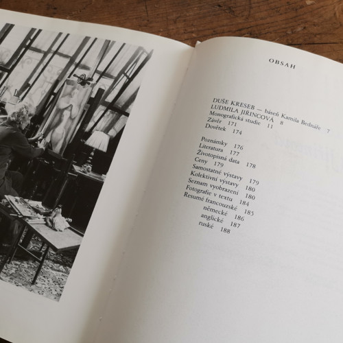 Ludmila Jiřincová — foto 6