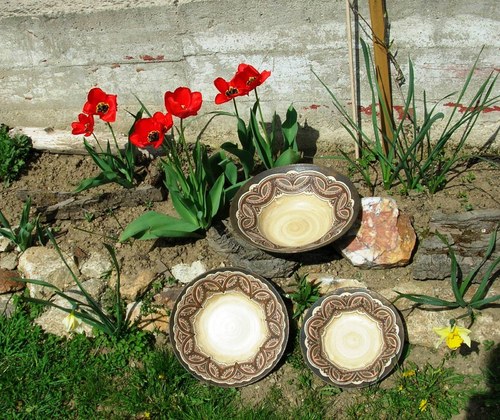 Tuli, tuli, tulipán... — foto 5