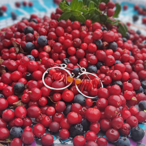 Cranberries — foto 4
