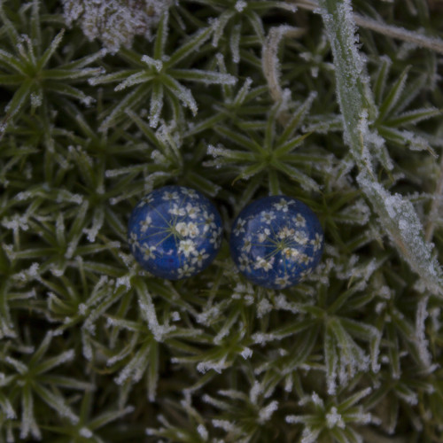 Náušnice divodá mrkev 1 cm - chir. ocel — foto 2