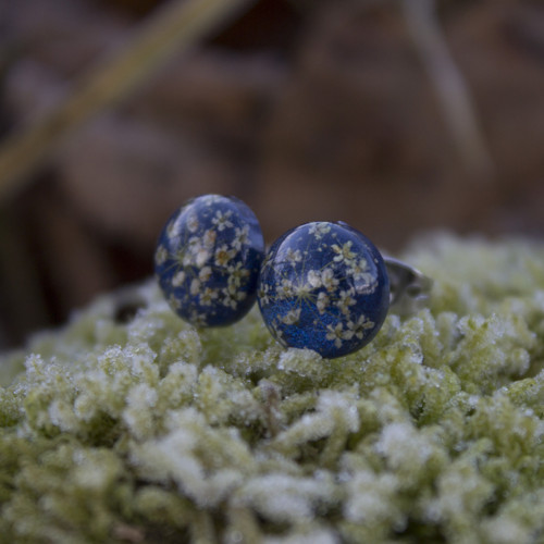 Náušnice divodá mrkev 1 cm - chir. ocel — foto 3