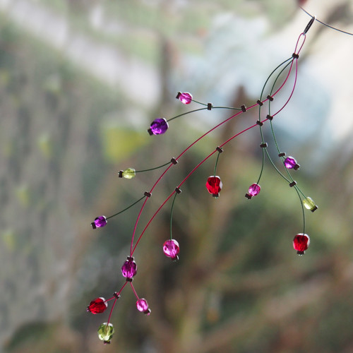 Fuchsijový něžný — foto 2