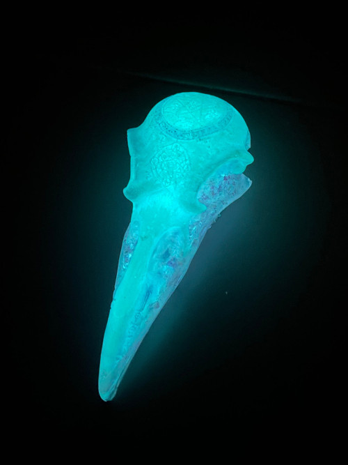 Havraní lebka PEARL & GLOW — foto 4