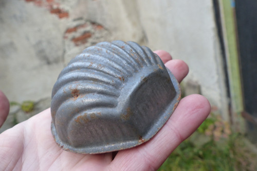 Od moře...formička na cukroví — foto 3