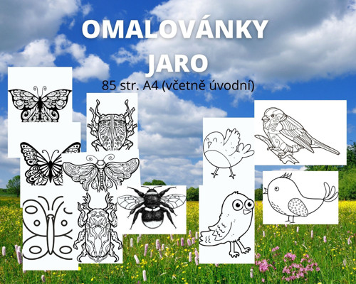 JARO omalovánky — foto 2