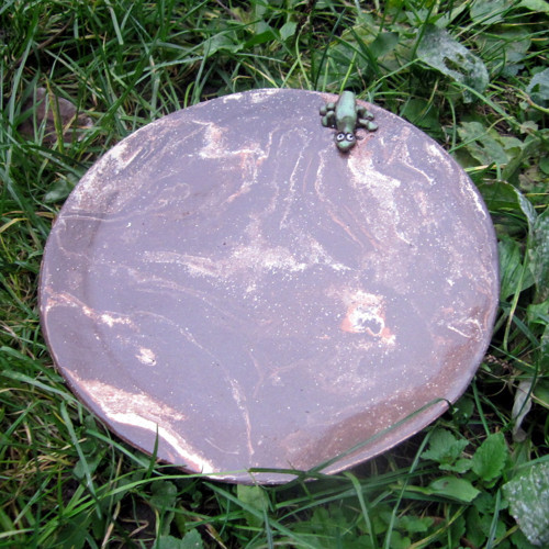 Tác ještěrka — foto 2