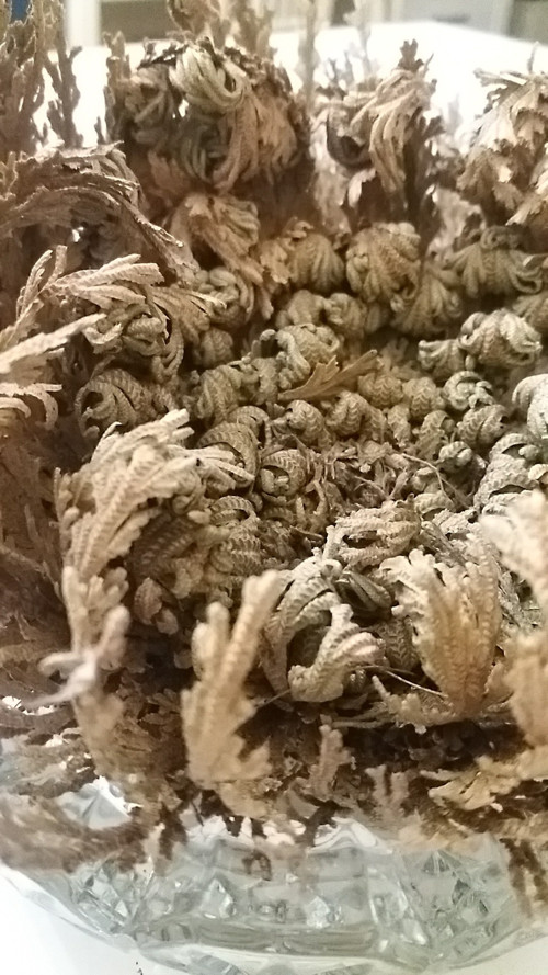 Originální DÁREK _flower box — foto 4