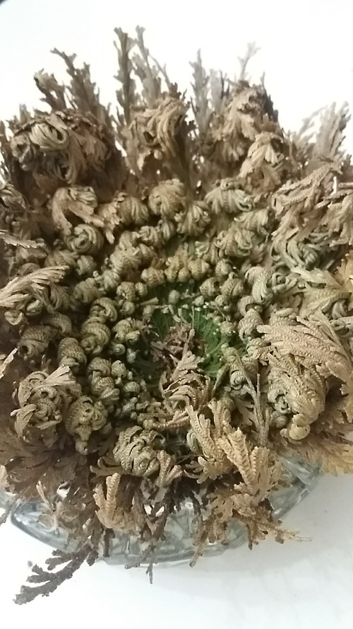 Originální DÁREK _flower box — foto 6