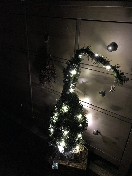 Zasněžený stromeček svítící — foto 2