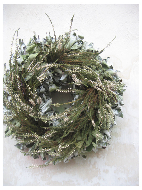 Calluna vulgaris..II..... — foto 5