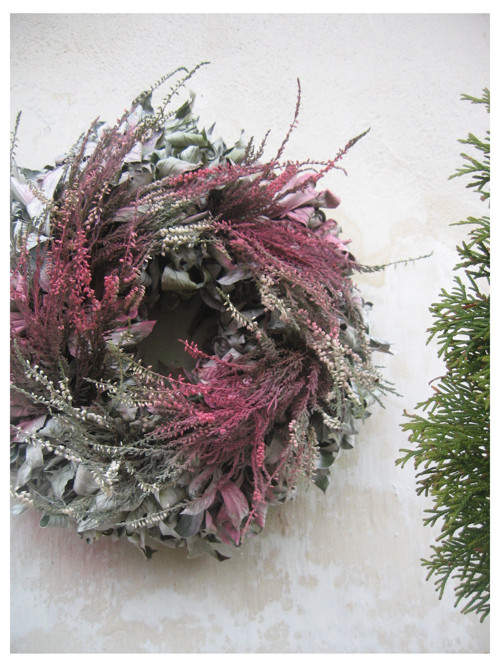Calluna vulgaris..III..... — foto 4
