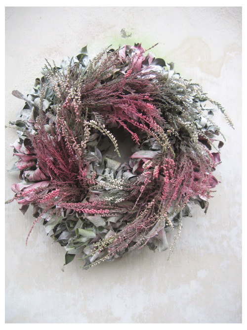 Calluna vulgaris..III..... — foto 2