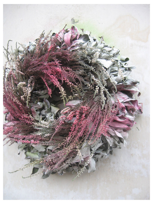 Calluna vulgaris..III..... — foto 3