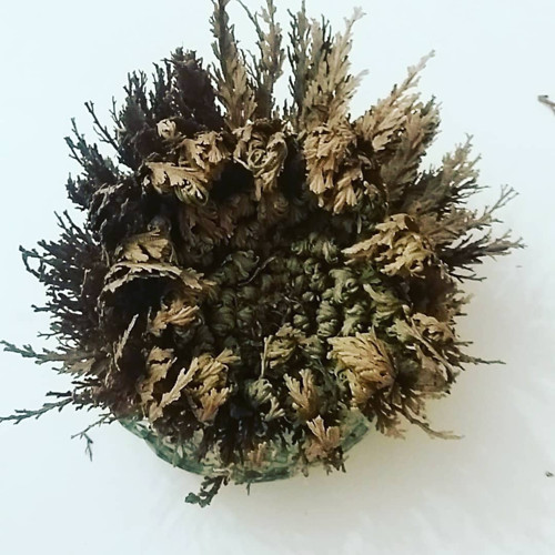 Zelená KOULE z LÁSKY — foto 2