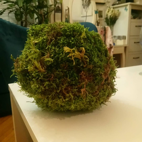 ANDĚLSKÁ Mechová KOULE — foto 2