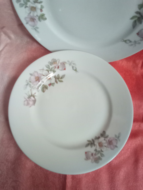Šípková růže — foto 5