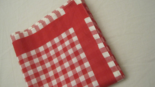 Bavlněný šátek/kapesník 60cm — foto 2
