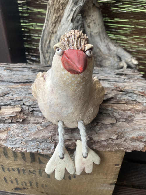 Pták s červeným zobákem — foto 2