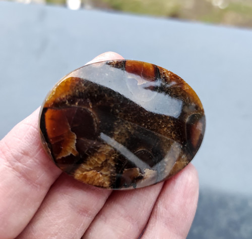 Amonitový Simbircit, ID 2171, 53x37 mm — foto 3
