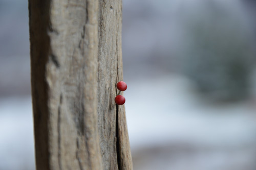 Dřevěné náušnice - mini jahůdky — foto 3