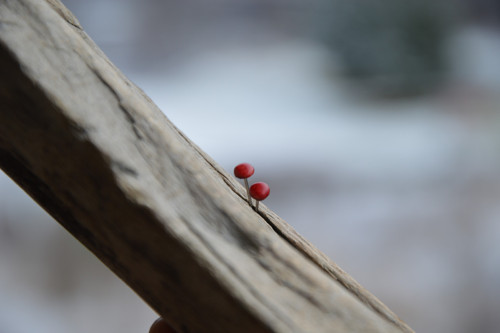 Dřevěné náušnice - mini jahůdky — foto 4