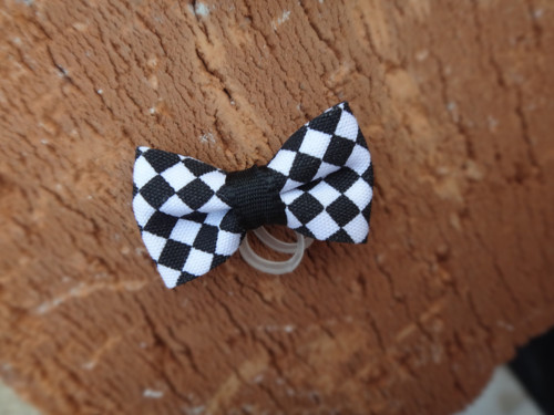 Mini mašlička — foto 2