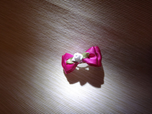 Mašlička na sponce — foto 2