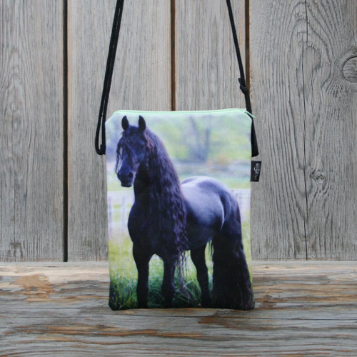 MINI MESSENGER Fríský kůň — foto 4