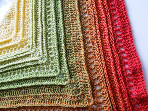 Ranunculus flos - merino — foto 4