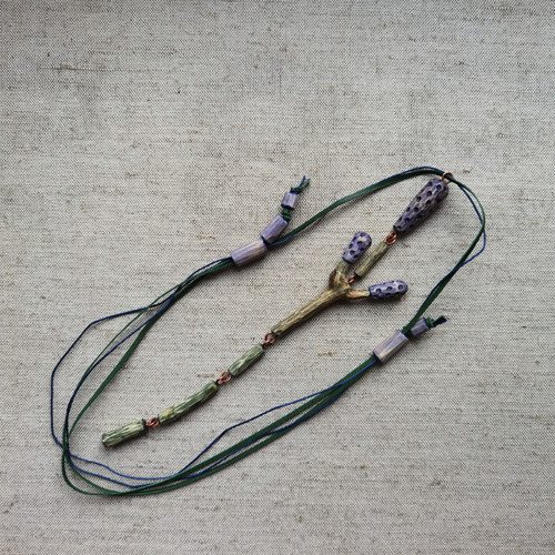 Lavandula — foto 2