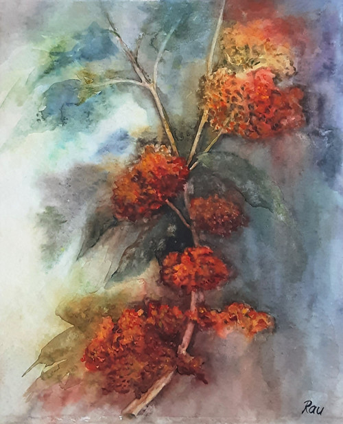 Jeřabina — foto 2