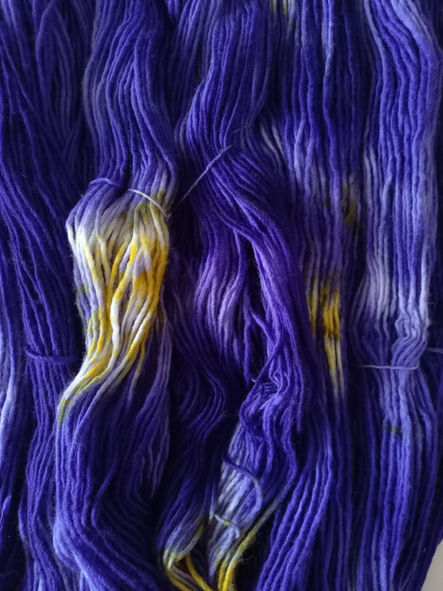 Iris — foto 3