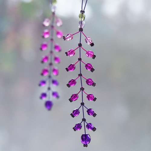 Fuchsijové květy — foto 2