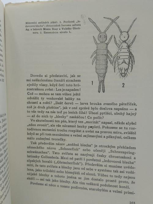 Zvířátka a lidé — foto 3