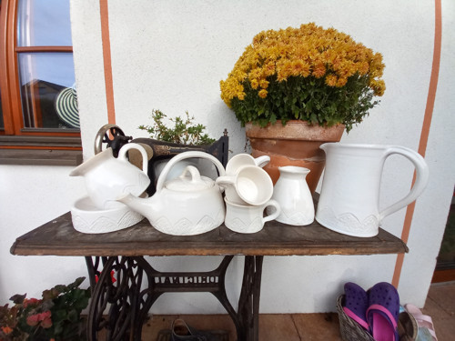 Bílá krajková mlékovka — foto 2