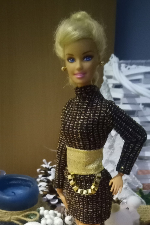 Společenské šaty pro Barbie — foto 4