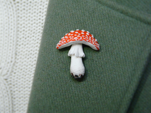 Fly Agaric — foto 3