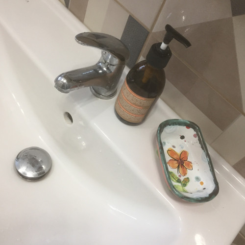 Mýdlenka s květinou — foto 3