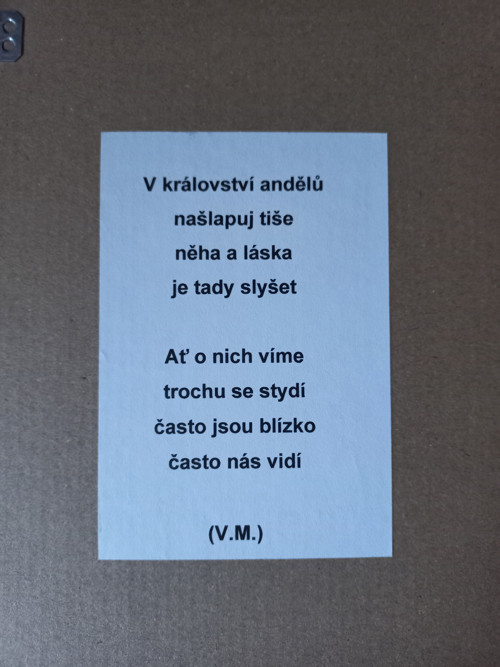 V království andělů — foto 3
