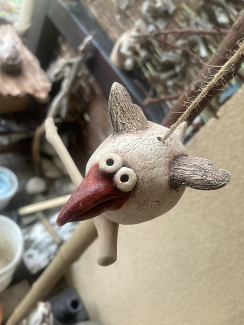 Pták s červeným zobákem — foto 6