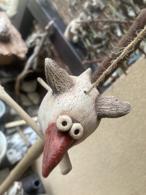 Pták s červeným zobákem — foto 5